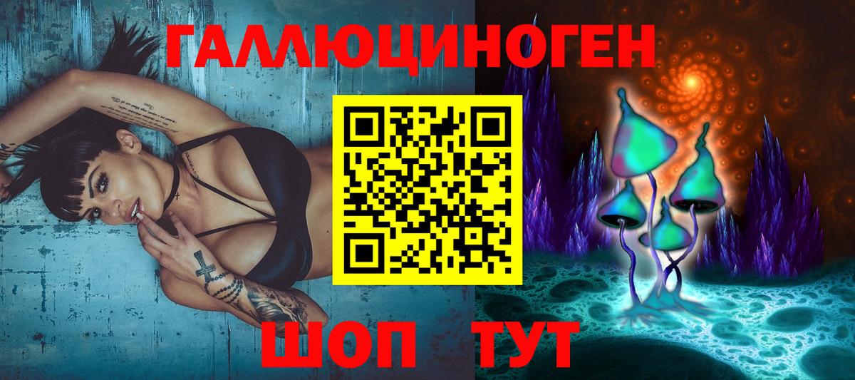 Псилоцибиновые грибы прущие грибы  Вход с VPN  Городец 